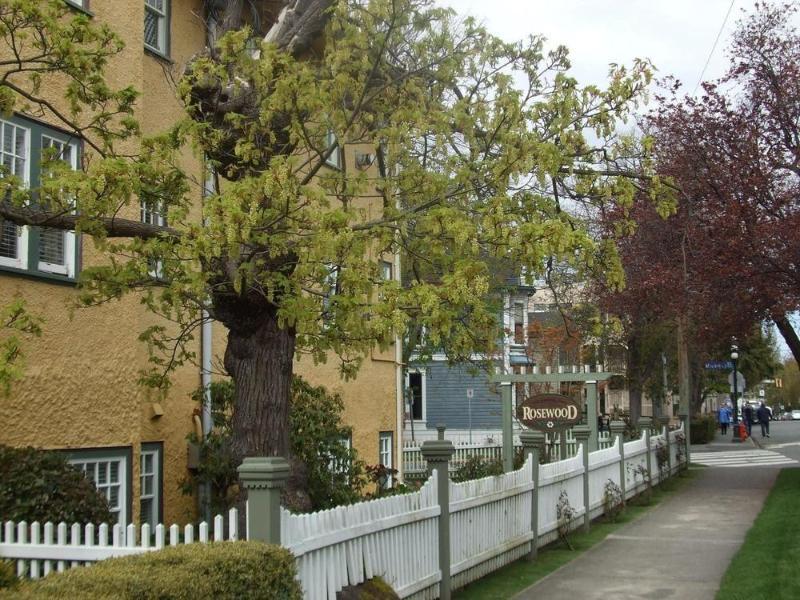 Rosewood Inn Victoria Buitenkant foto